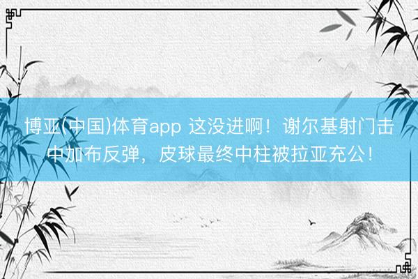 博亚(中国)体育app 这没进啊！谢尔基射门击中加布反弹，皮球最终中柱被拉亚充公！