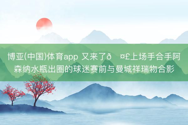 博亚(中国)体育app 又来了🤣上场手合手阿森纳水瓶出圈的球迷赛前与曼城祥瑞物合影