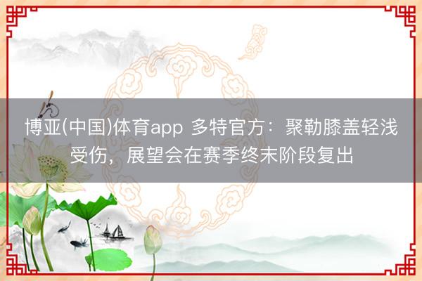博亚(中国)体育app 多特官方：聚勒膝盖轻浅受伤，展望会在赛季终末阶段复出