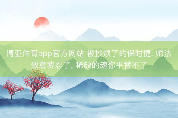 博亚体育app官方网站 被抄烦了的保时捷: 师法致意我忍了， 稀缺的魂你平替不了