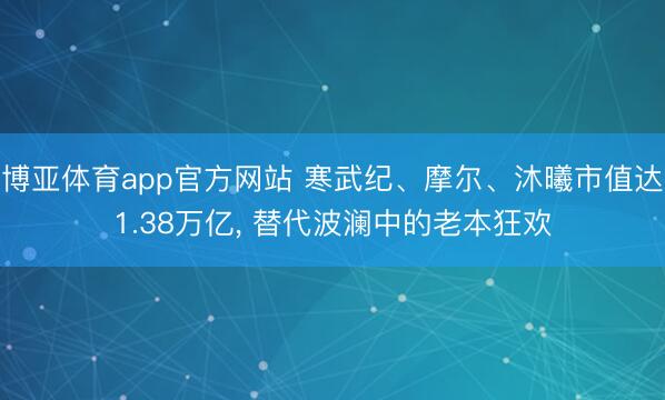 博亚体育app官方网站 寒武纪、摩尔、沐曦市值达1.38万亿， 替代波澜中的老本狂欢