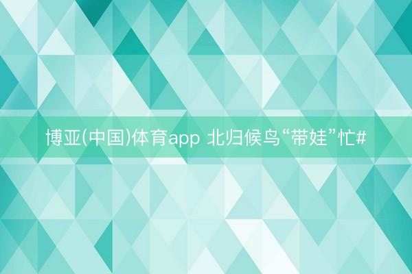 博亚(中国)体育app 北归候鸟“带娃”忙#