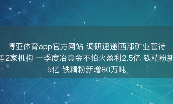 博亚体育app官方网站 调研速递|西部矿业管待长城基金等2家机构 一季度冶真金不怕火盈利2.5亿 铁精粉新增80万吨