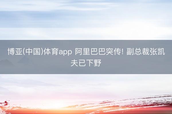 博亚(中国)体育app 阿里巴巴突传! 副总裁张凯夫已下野