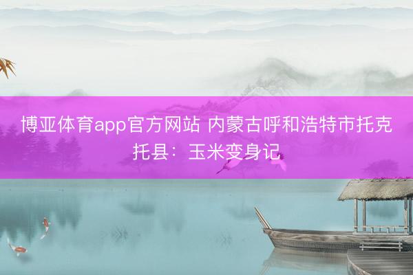博亚体育app官方网站 内蒙古呼和浩特市托克托县：玉米变身记