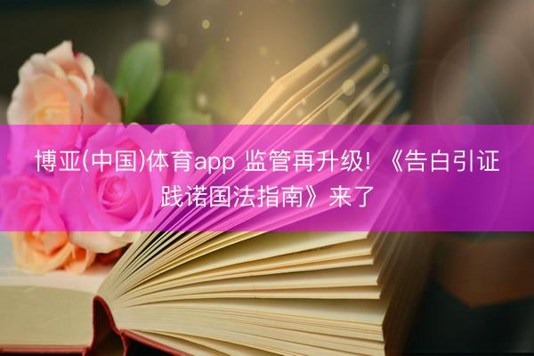博亚(中国)体育app 监管再升级! 《告白引证践诺国法指南》来了